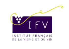 20190830141911!Logo_IFV